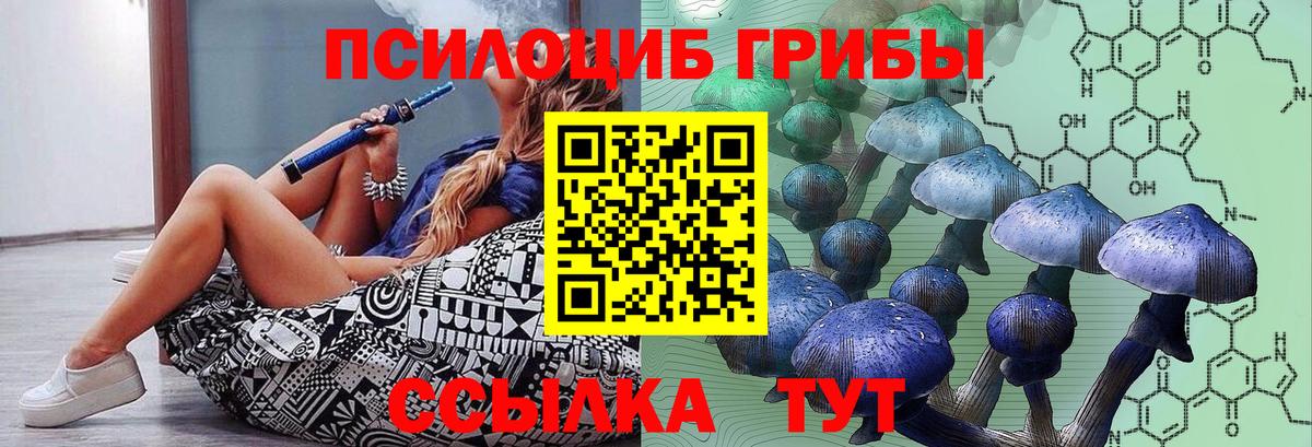 Псилоцибиновые грибы мицелий Белебей